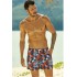Пляжные мужские шорты Henderson Hike